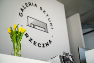 Galeria Sztuki Rzeczna z&nbsp;lotu ptaka, wokół zabudowa śródmiejska